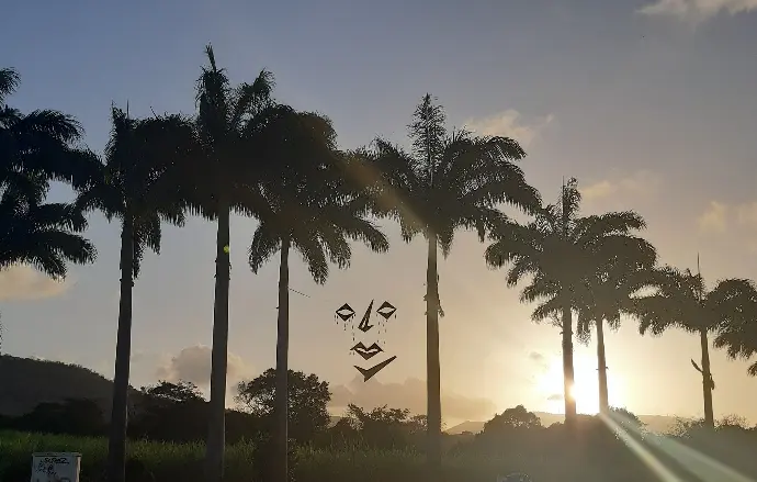 Installation artistique d'un visage géant suspendu dans les arbres.